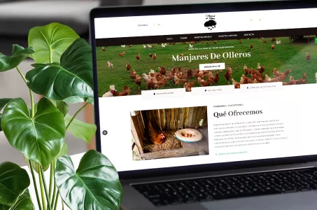 Manjares de Olleros: Venta Online de huevos camperos y ecológicos
