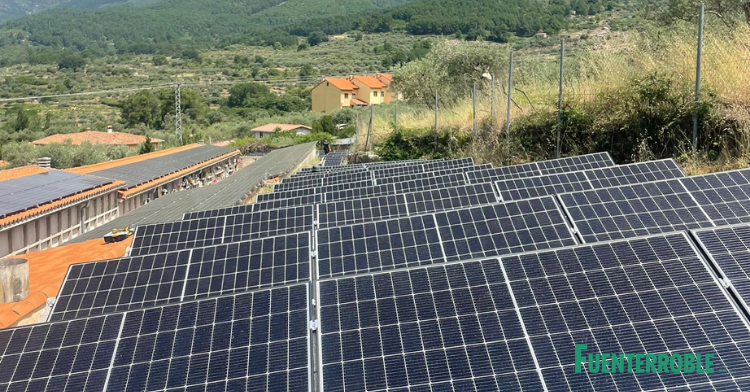 Inversión en planta solar fotovoltaica: rentabilidad y futuro de las energías renovables