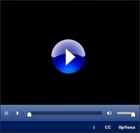 La importancia del video en la web
