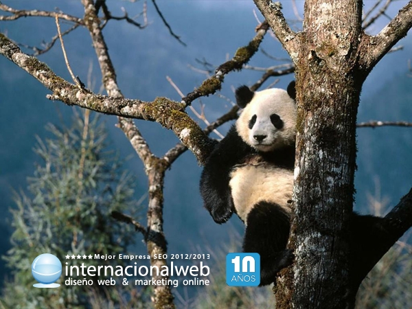 Nuevo animal en el zoo, ha llegado Panda 4.0