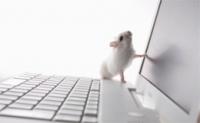 Se cumplen 40 años desde el primer 'click': el ratón celebra su aniversario