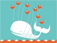 Twitter prepara su plataforma automatizada de venta de publicidad para las pequeñas empresas